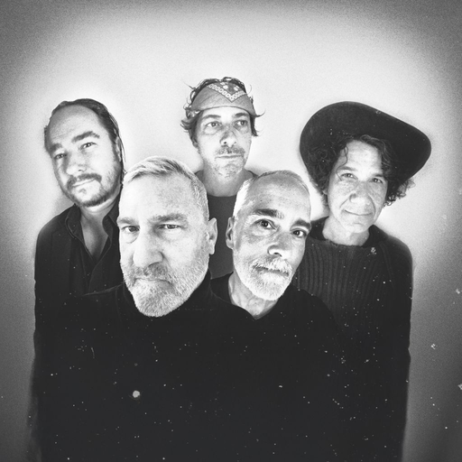 AFGHAN WHIGS